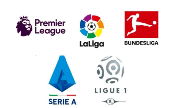 都取得了显 都取得了显